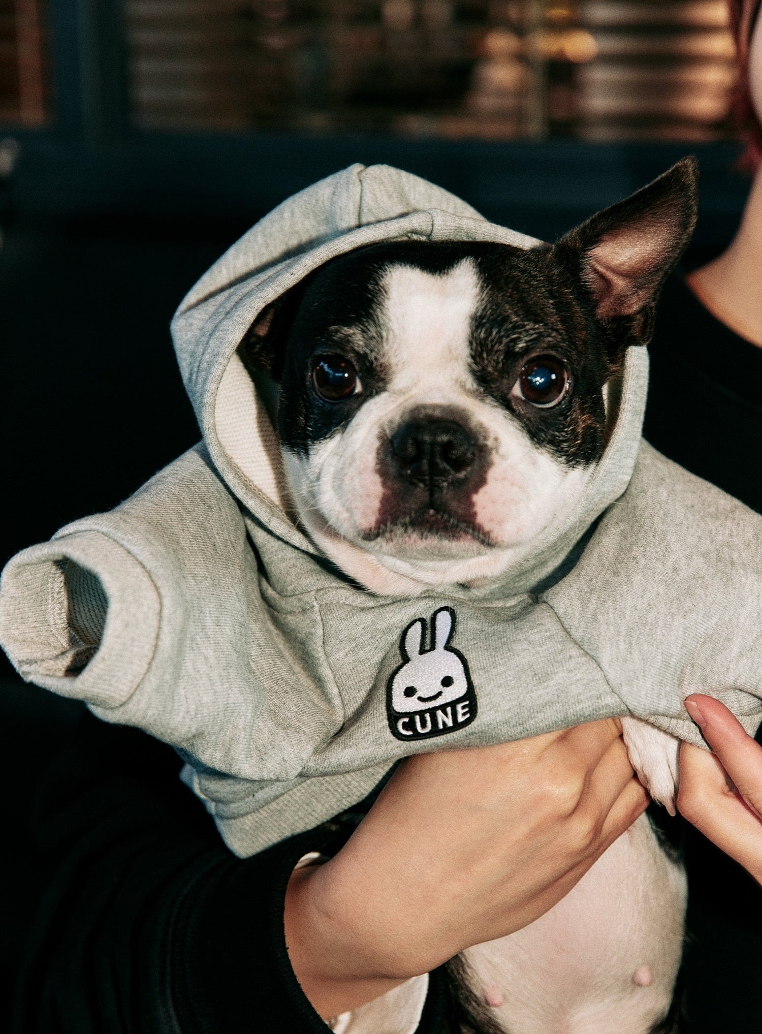 小型犬のプルパーカー ワソワソ