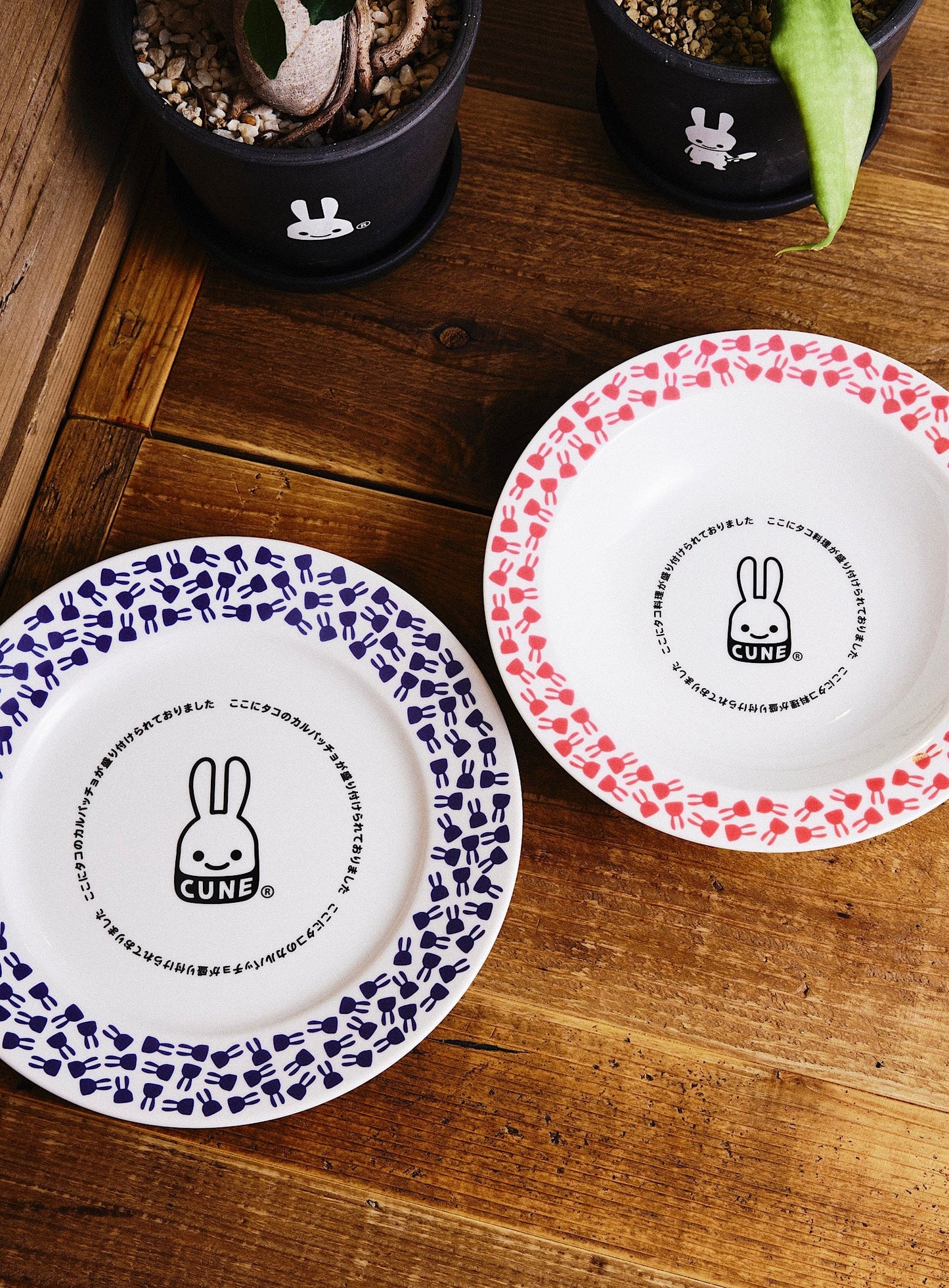 タコのカルパッチョ皿