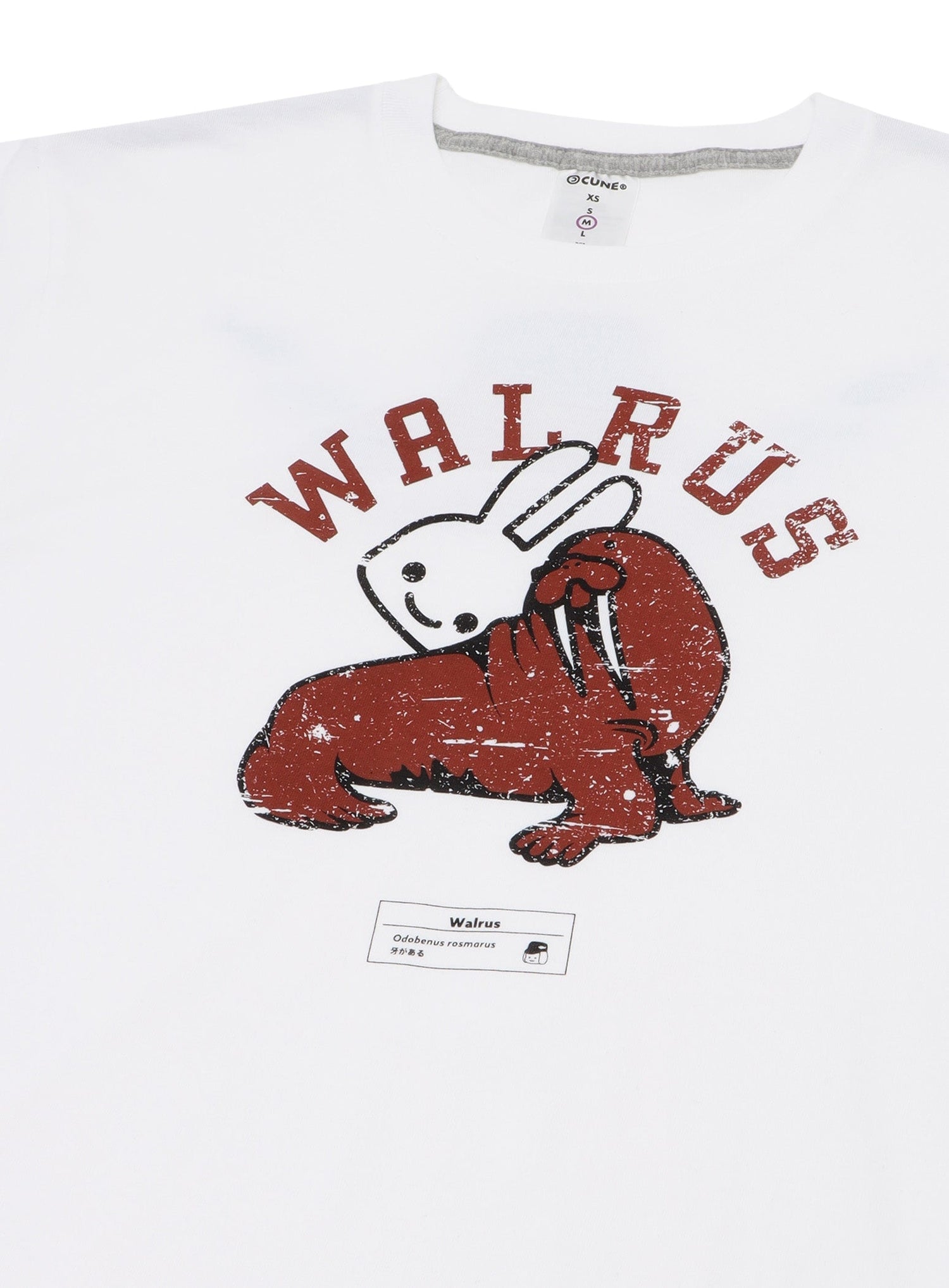 水族館のおみやげTシャツ セイウチ