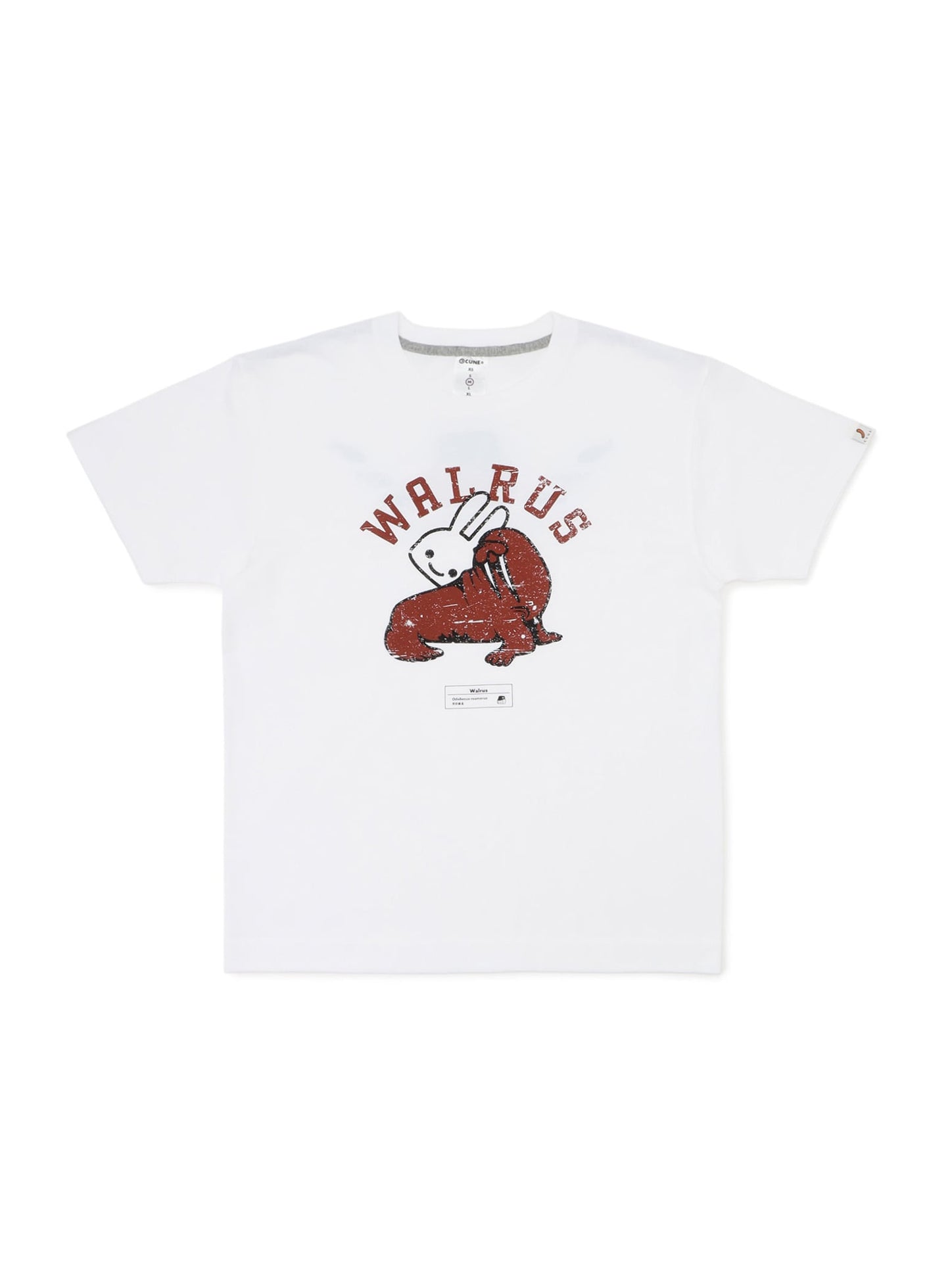 水族館のおみやげTシャツ セイウチ