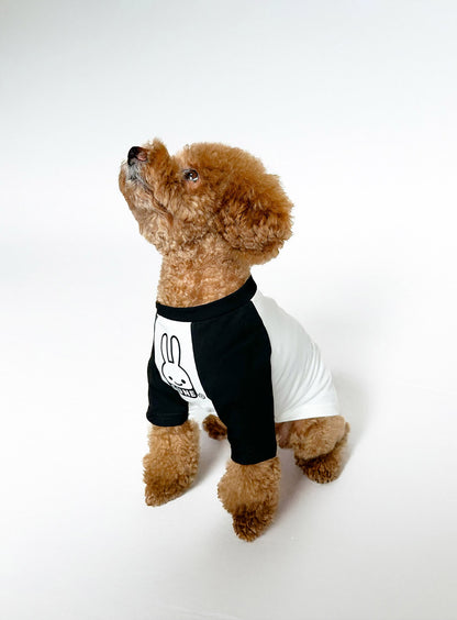 犬と人 犬のラグランTシャツ CUNEウサギ