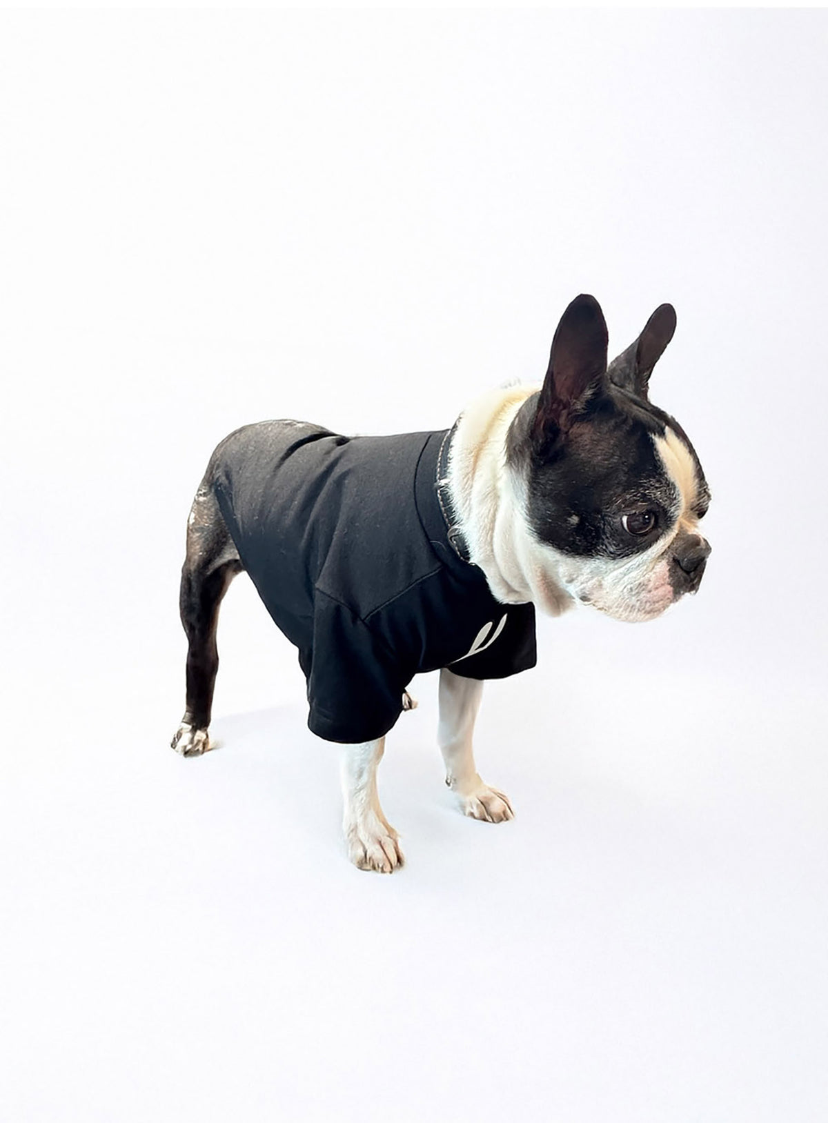 犬と人 犬のS/S Tee CUNEウサギ