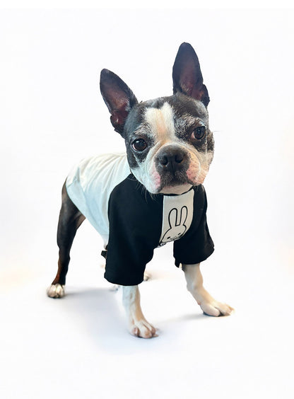 犬と人 犬のラグランTシャツ CUNEウサギ