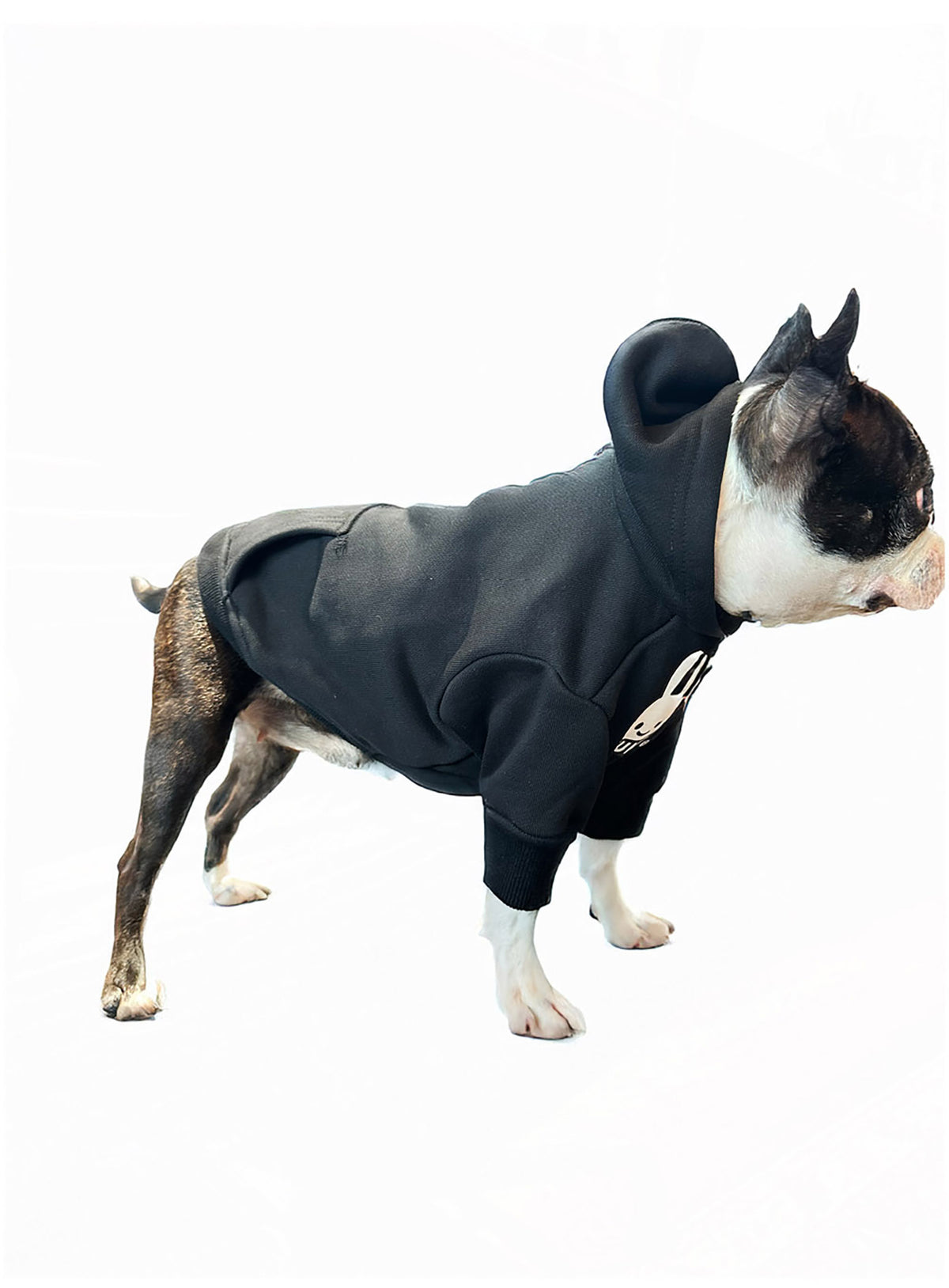 犬と人 犬のPULL PARKA CUNEウサギ