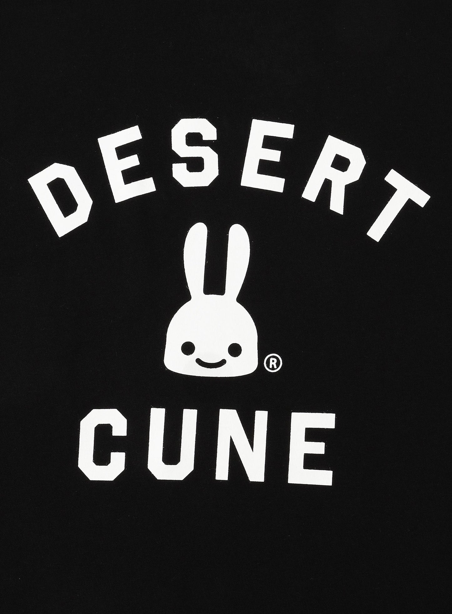 S/S Tee DESERT