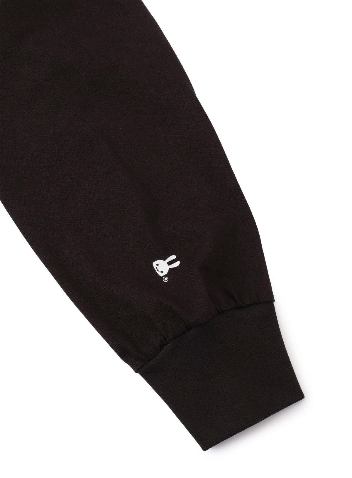 ビッグLST ウサギ登り